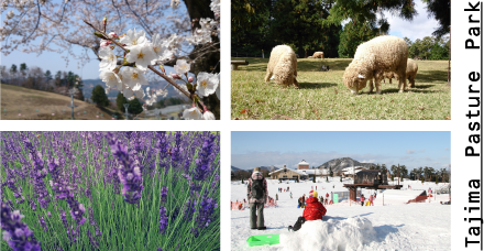 Tajima Pasture Park