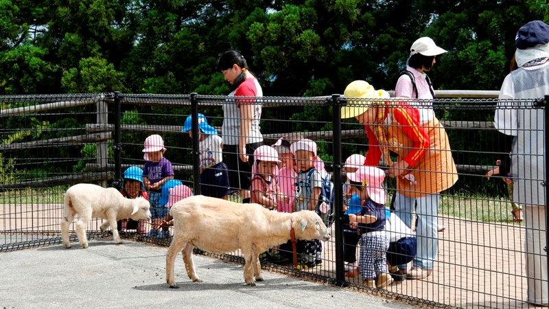 小動物舎