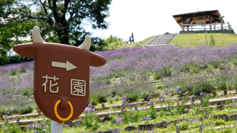 山頂花園