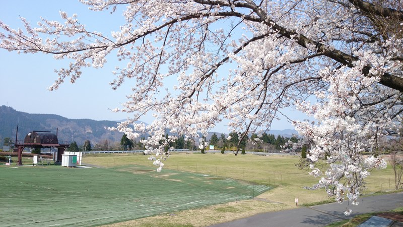 芝生広場でのんびりと